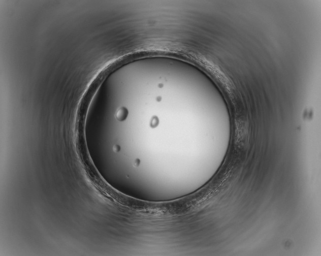 X0000098050580200804111315