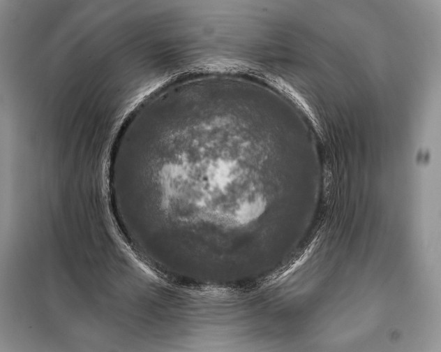 X0000098050581200804111315