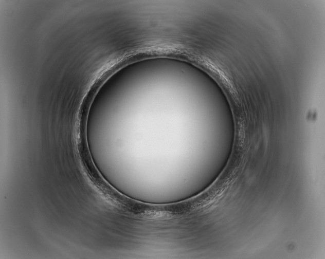 X0000098050582200804111315