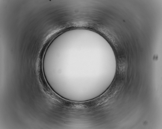 X0000098050583200804111315