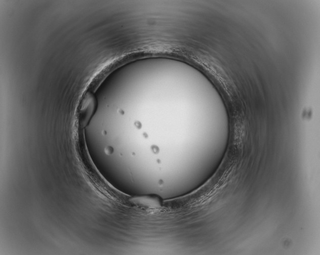 X0000098050584200804111315