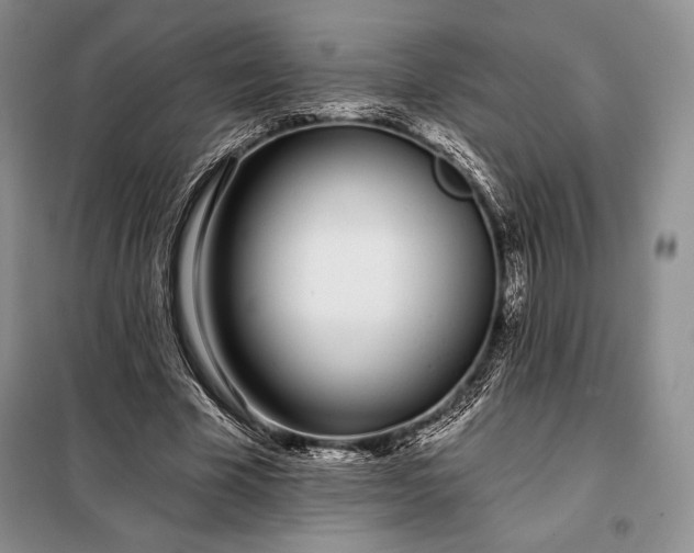 X0000098050585200804111315