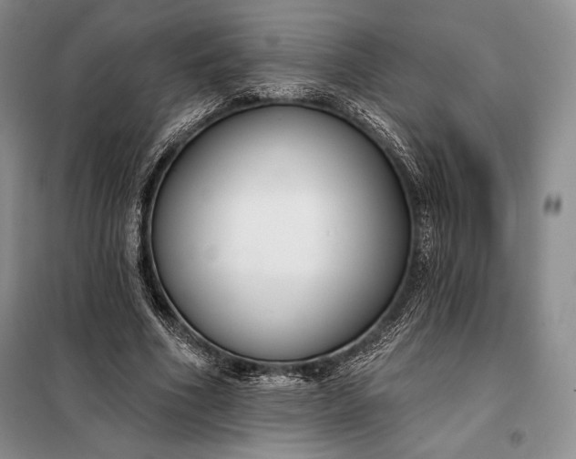 X0000098050586200804111315