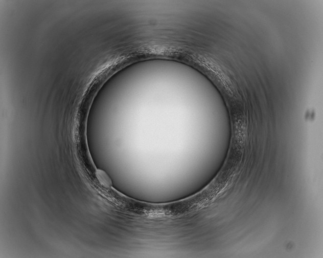 X0000098050587200804111315