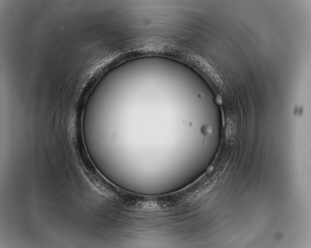 X0000098050588200804111315