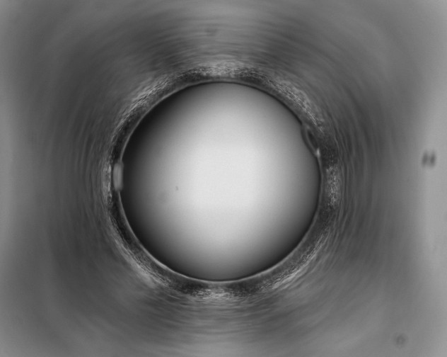 X0000098050589200804111315