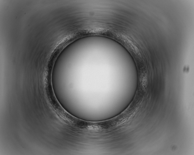 X0000098050591200804111315