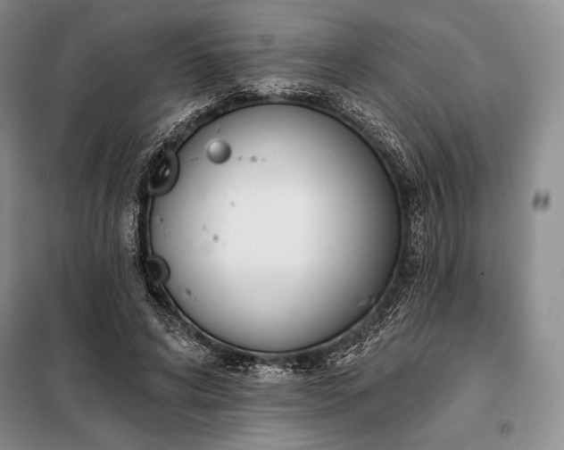 X0000098050592200804111315