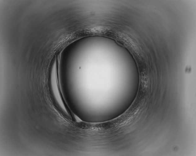 X0000098050593200804111315