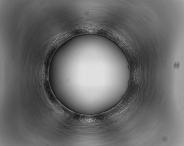 X0000098050594200804111315