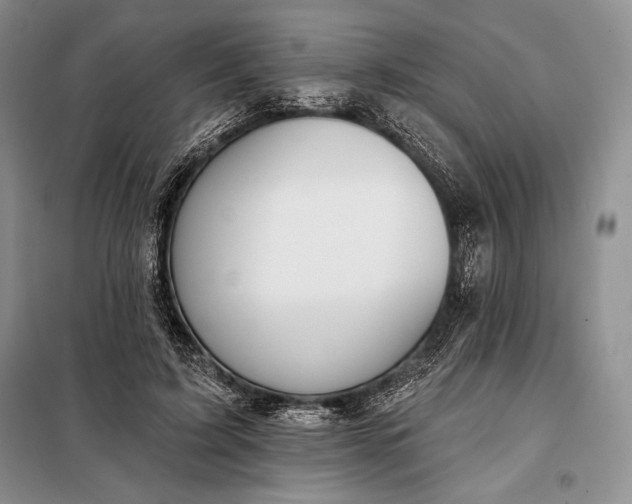 X0000098050595200804111315