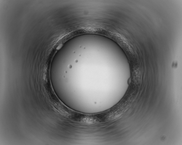 X0000098050596200804111315