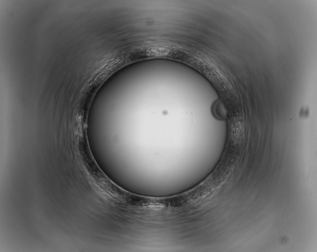 X0000098050598200804111315