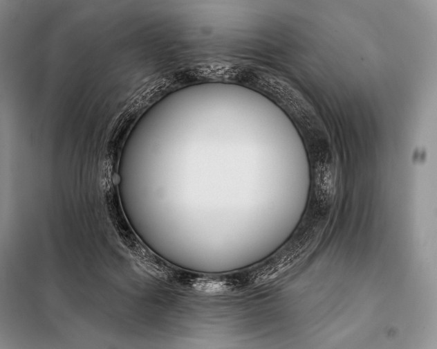 X0000098050602200804111315