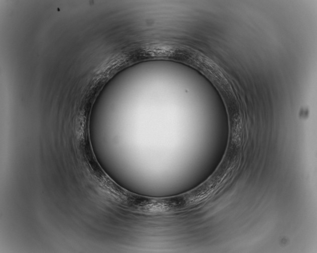 X0000098050604200804111315