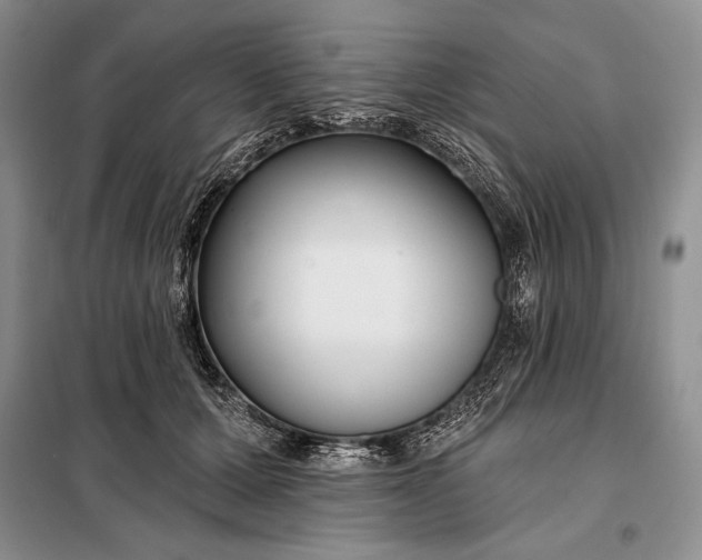 X0000098050607200804111315