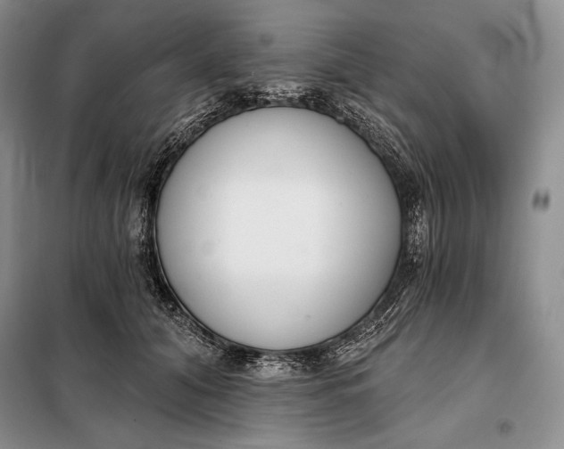 X0000098050608200804111315