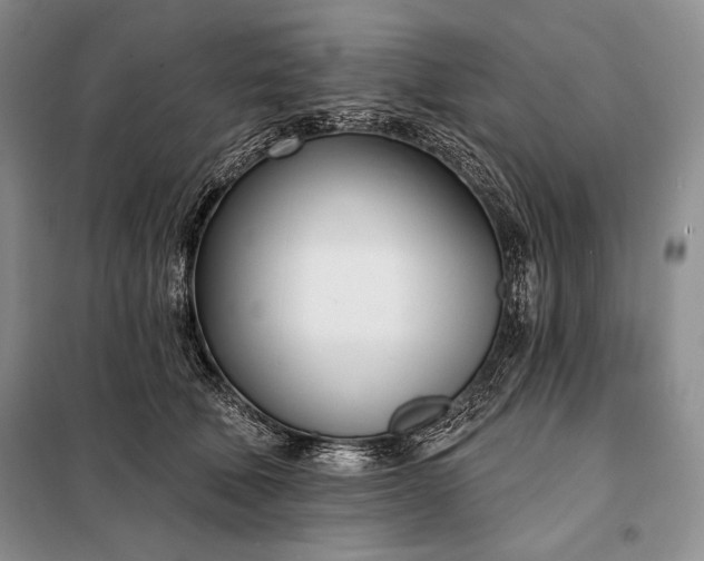 X0000098050610200804111315