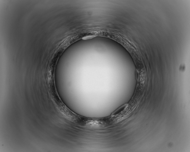 X0000098050611200804111315