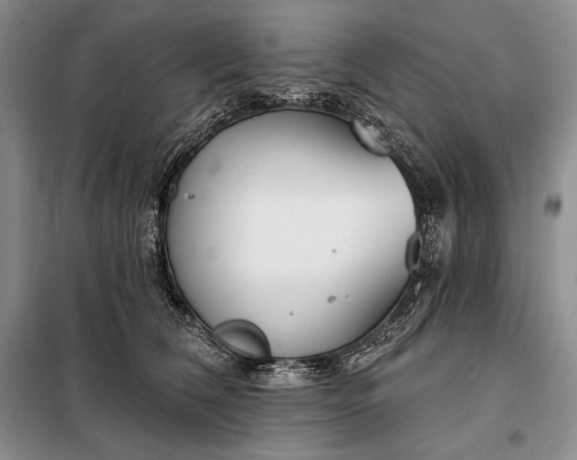 X0000098050612200804111314