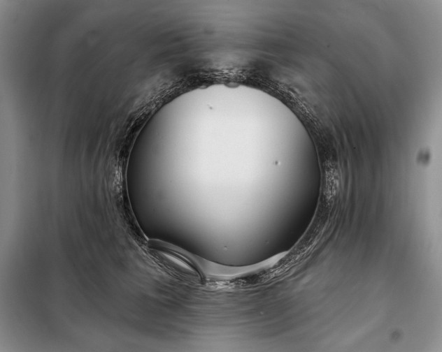 X0000098050613200804111314