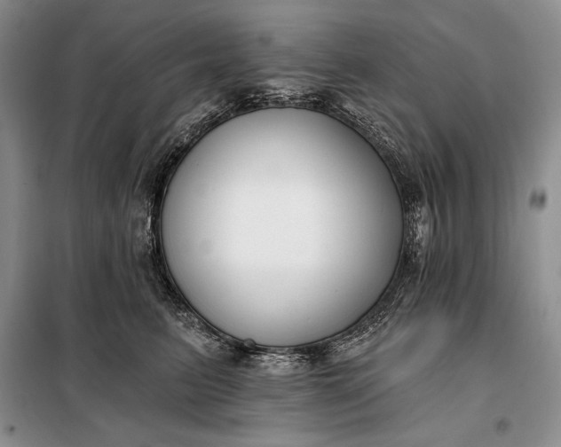 X0000098050615200804111314