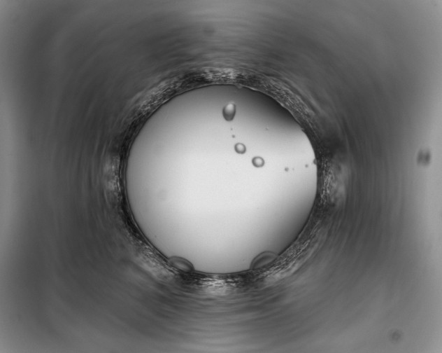 X0000098050616200804111314