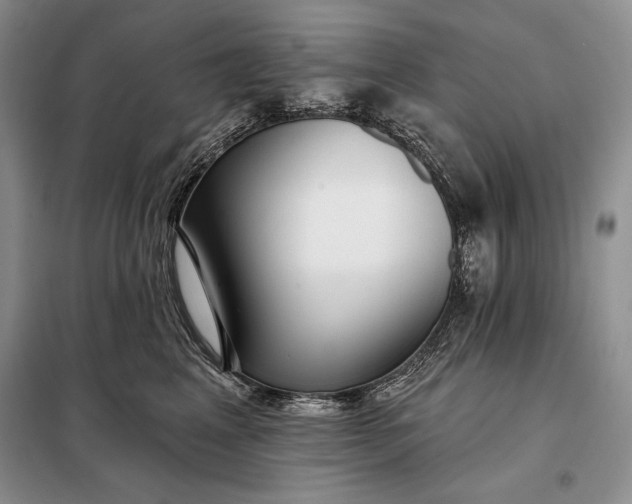 X0000098050617200804111314