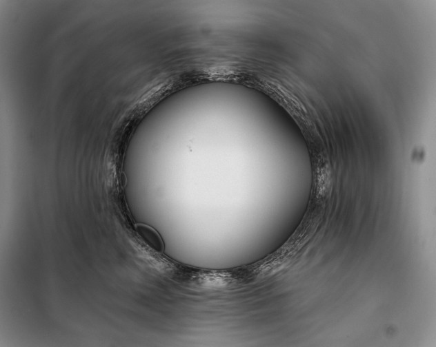 X0000098050618200804111314