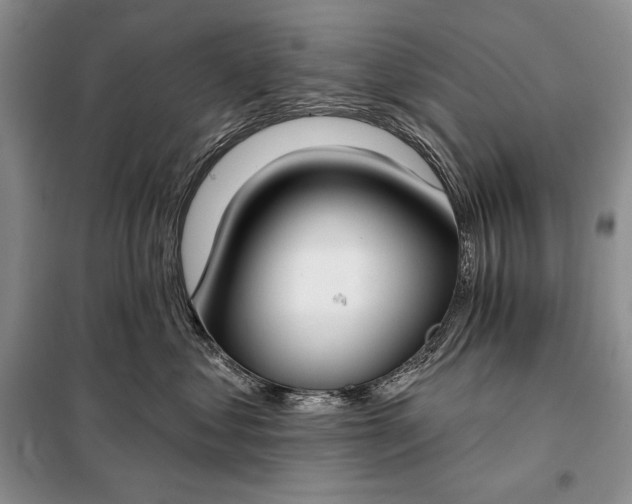 X0000098050621200804111314