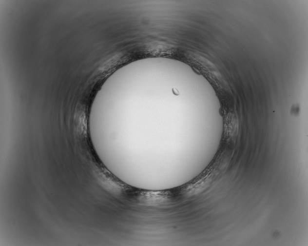 X0000098050622200804111314