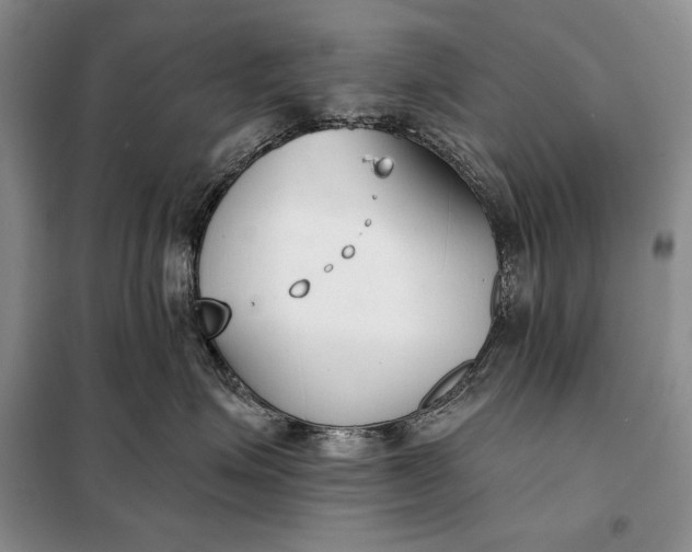 X0000098050623200804111314