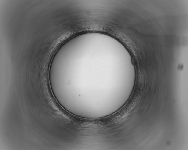 X0000098050625200804111314