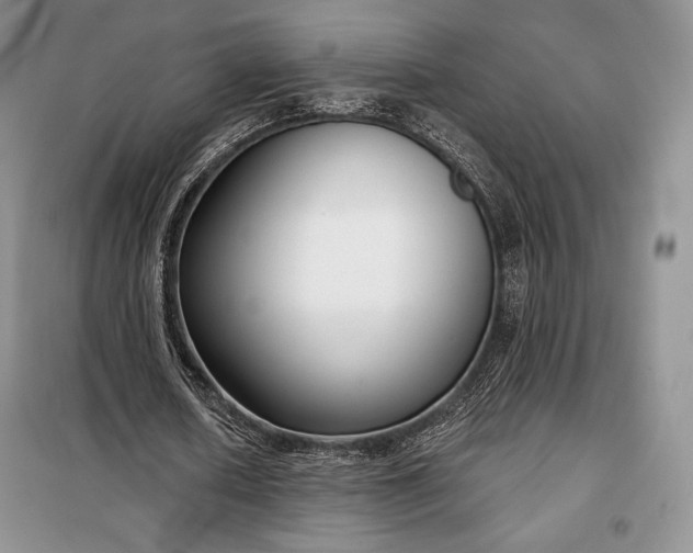 X0000098050626200804111314