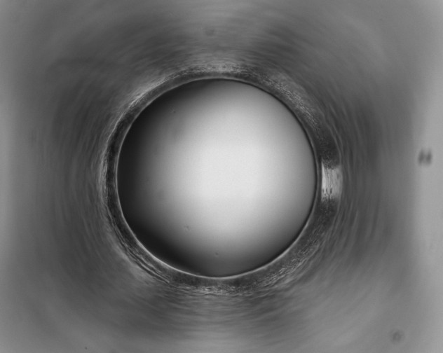 X0000098050627200804111314