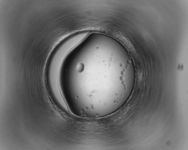 X0000098050628200804111314