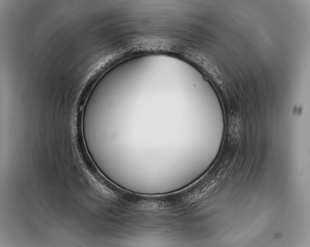 X0000098050629200804111314