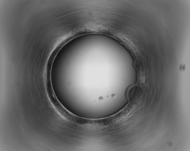 X0000098050630200804111314