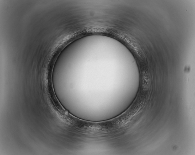 X0000098050631200804111314