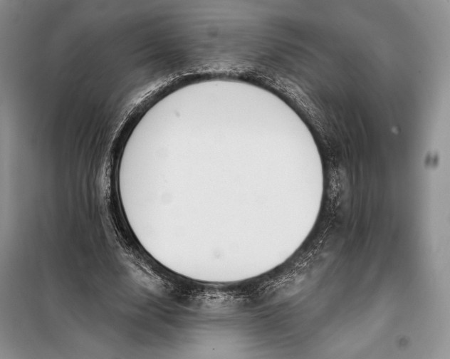 X0000098050632200804111314