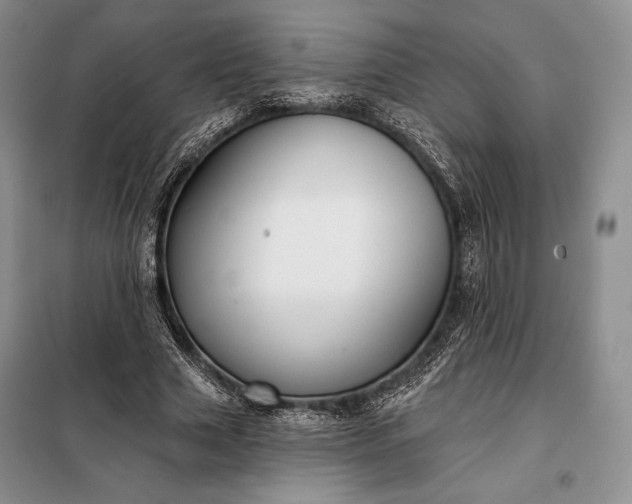 X0000098050633200804111314