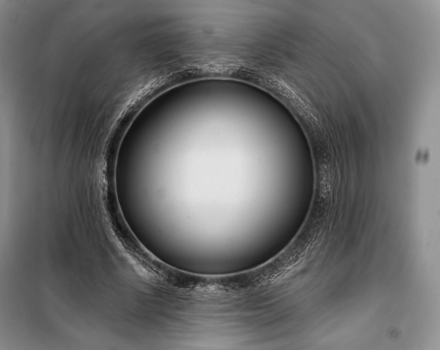 X0000098050634200804111314