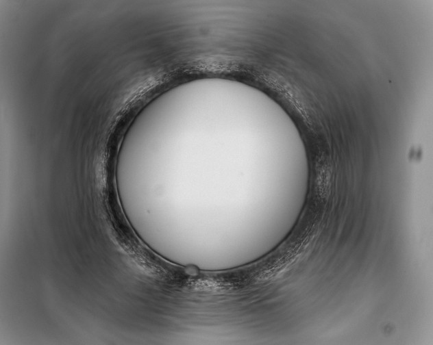 X0000098050635200804111314