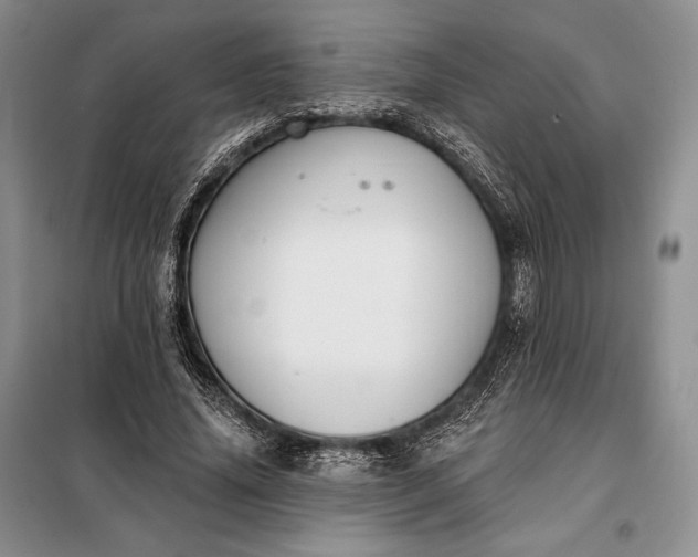 X0000098050636200804111314