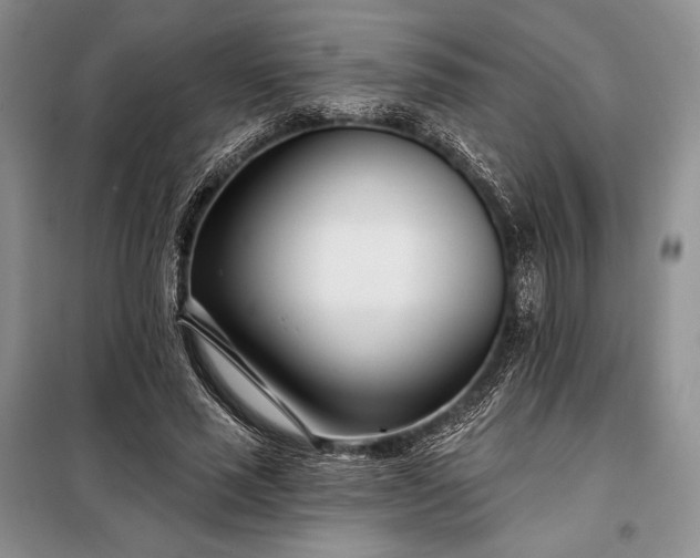 X0000098050637200804111314