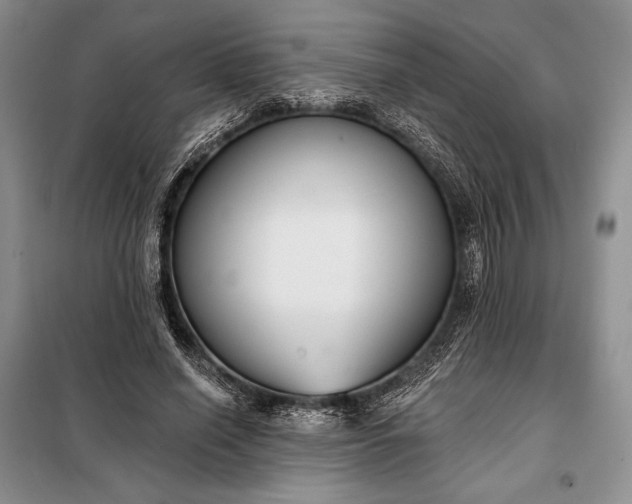 X0000098050638200804111314