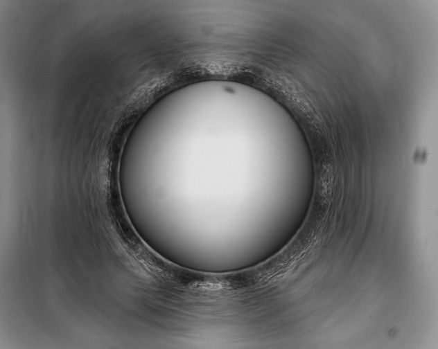 X0000098050639200804111314