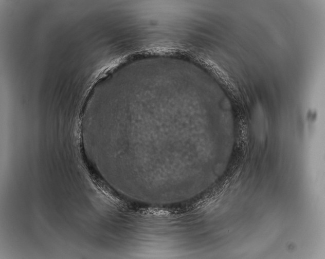 X0000098050640200804111314