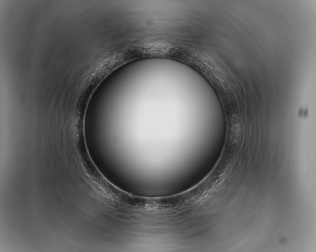 X0000098050641200804111314