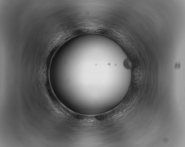 X0000098050642200804111314